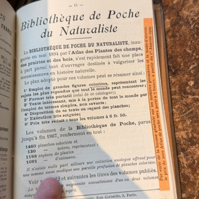 Pocket Atlas - Birds of France Switzerland and Belgium - 1908