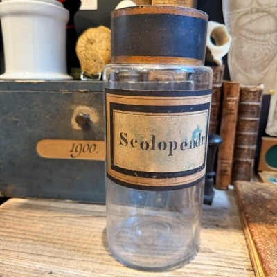 Scolopendre (Fougères) - Flacon de pharmacie - Apothicaire - Herboriste