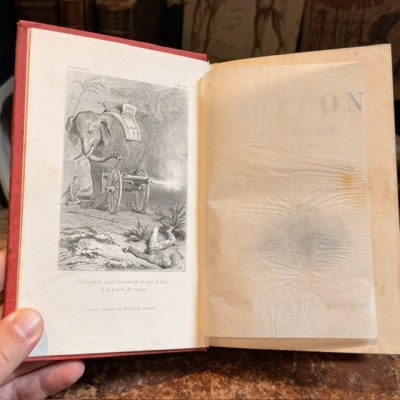 Buffon Pittoresque de la Jeunesse - Natural History -19th century