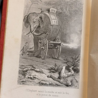 Buffon Pittoresque de la Jeunesse - Natural History -19th century