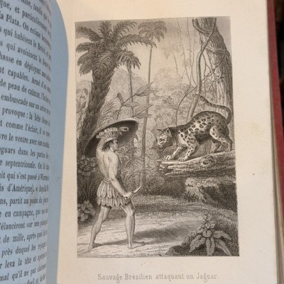 Buffon Pittoresque de la Jeunesse - Natural History -19th century