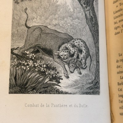 Buffon Pittoresque de la Jeunesse - Natural History -19th century