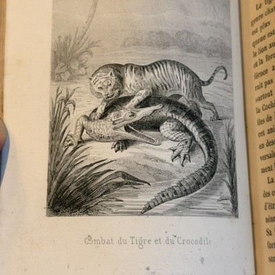 Buffon Pittoresque de la Jeunesse - Natural History -19th century