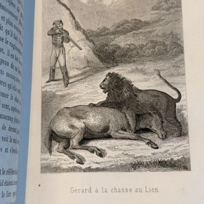 Buffon Pittoresque de la Jeunesse - Natural History -19th century
