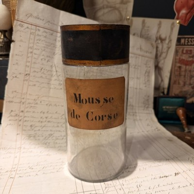 Corsican Moss - Antique Pharmacy jar - Herbalism - Apothecary Mouth-blown glass bottle - 19th century