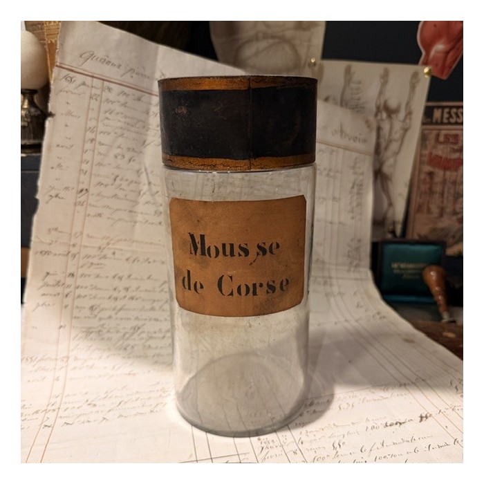 Corsican Moss - Antique Pharmacy jar - Herbalism - Apothecary Mouth-blown glass bottle - 19th century