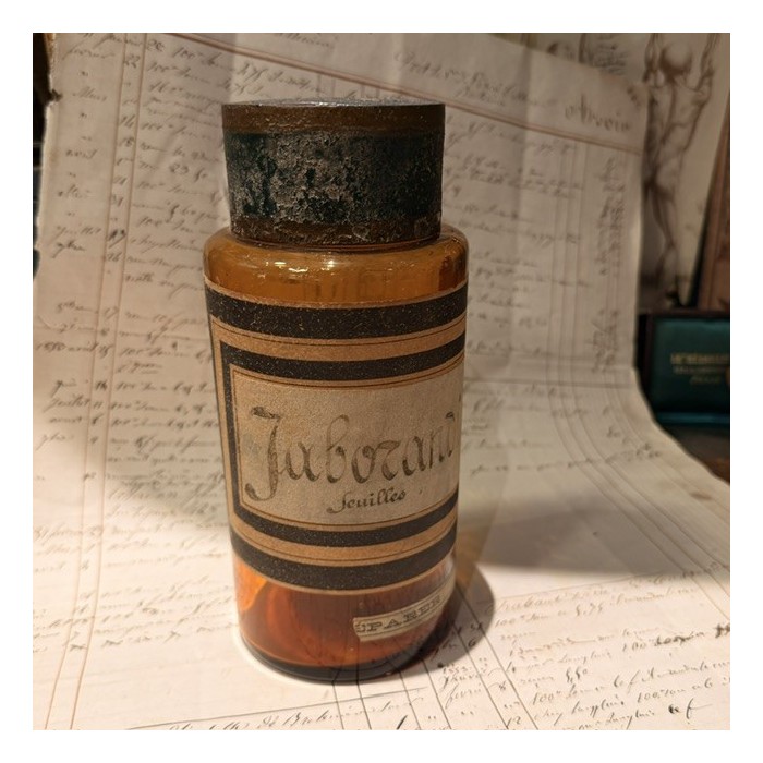Jaborandi - Bocal de pharmacie en verre soufflé - Apothicaire - Herboriste - XIXème siècle