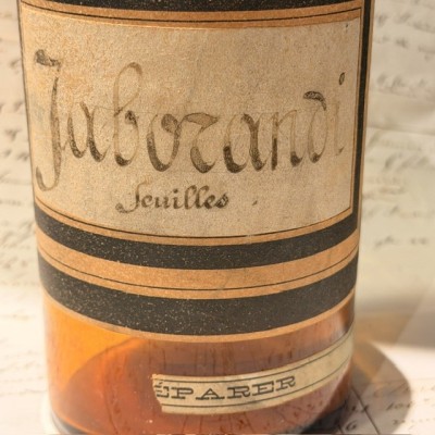 Jaborandi - Antique Pharmacy jar - Herbalism - Apothecary Mouth-blown glass bottle - 19th century