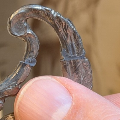 Coupe aux chimères néogothique - Centre de table fin XIXème siècle